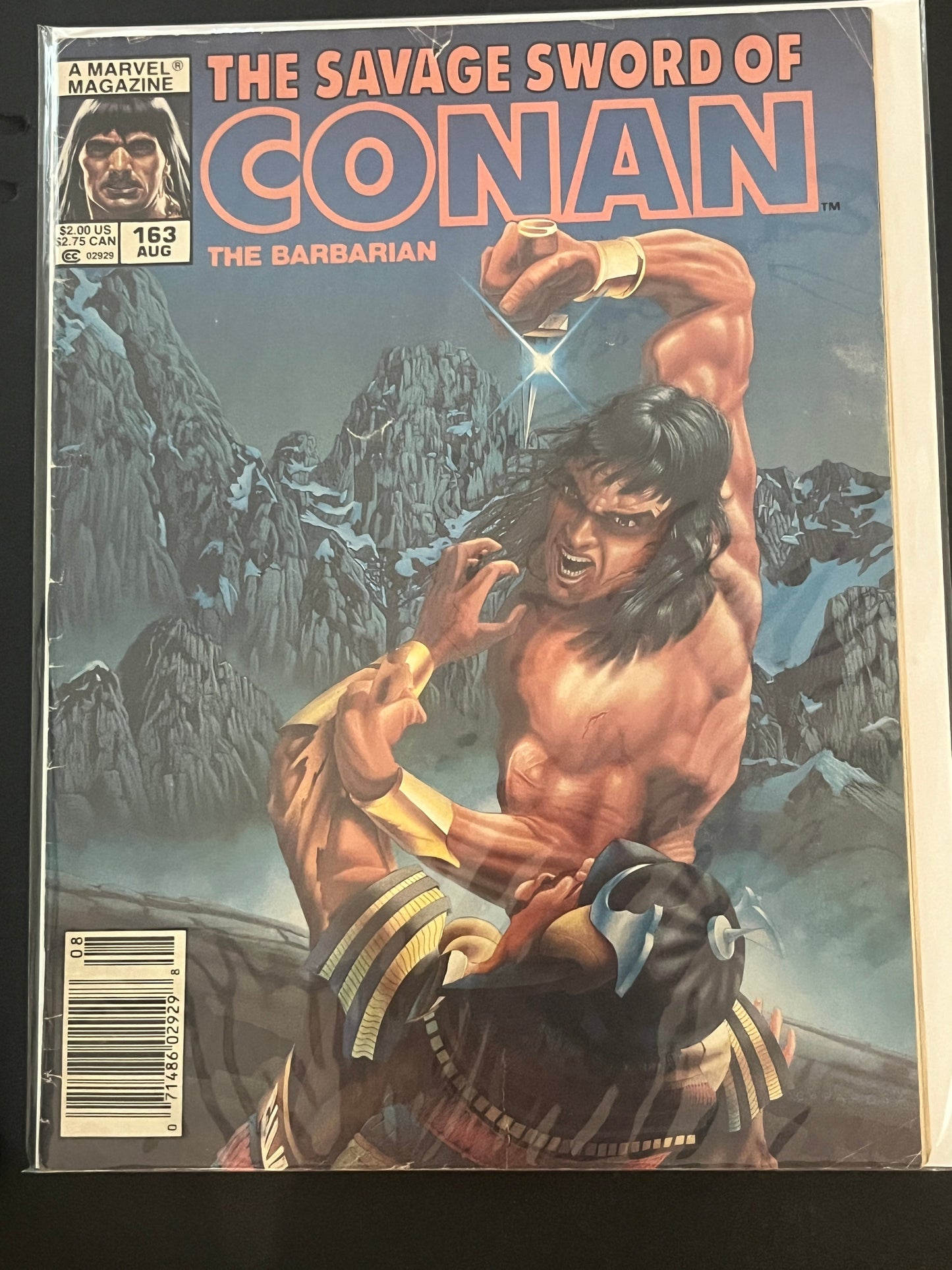 Savage Sword of Conan 163 F