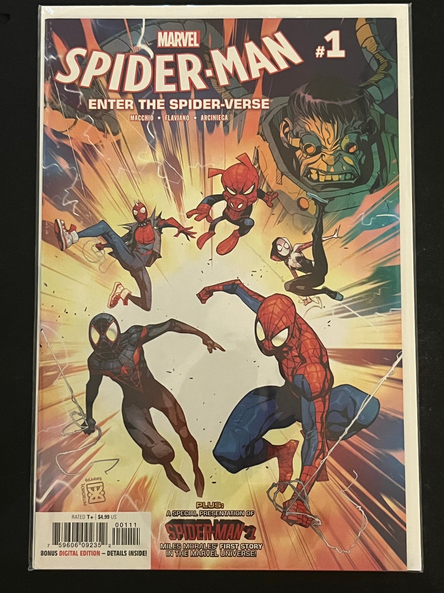 Spider-Man Enter the Spider-verse 1