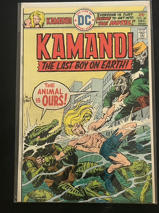 Kamandi 36 NM