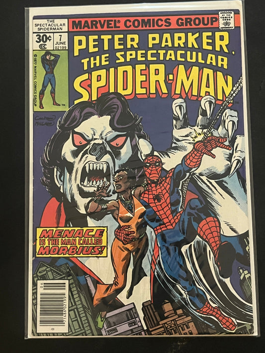 Peter Parker the Spectacular Spider-Man 7 VF