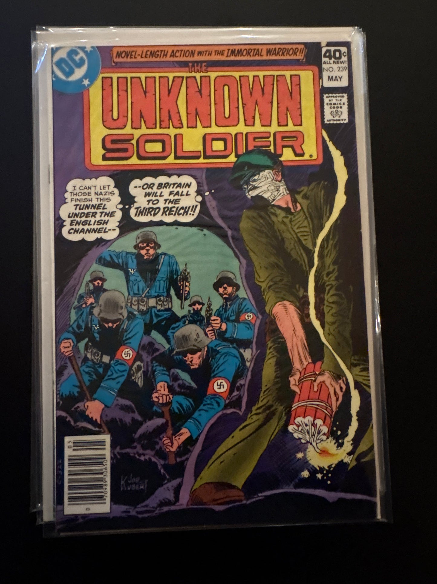 Unknown Soldier 239 NM