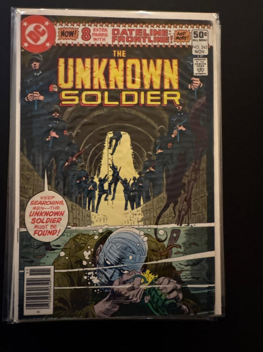 Unknown Soldier 245 NM