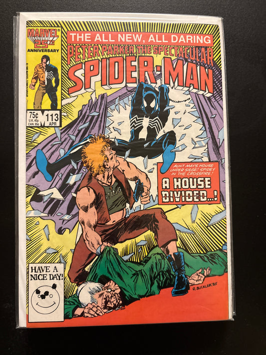 Peter Parker the Spectacular Spider-Man 113 NM