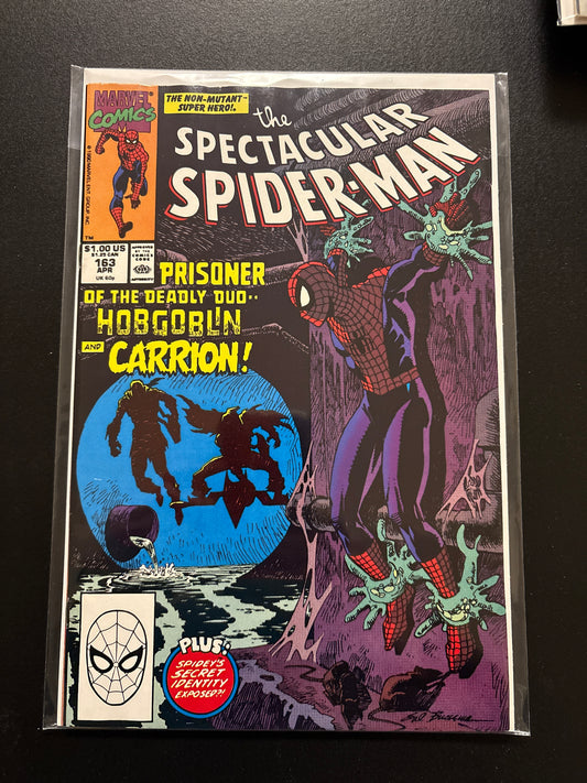 Peter Parker the Spectacular Spider-Man 163 NM