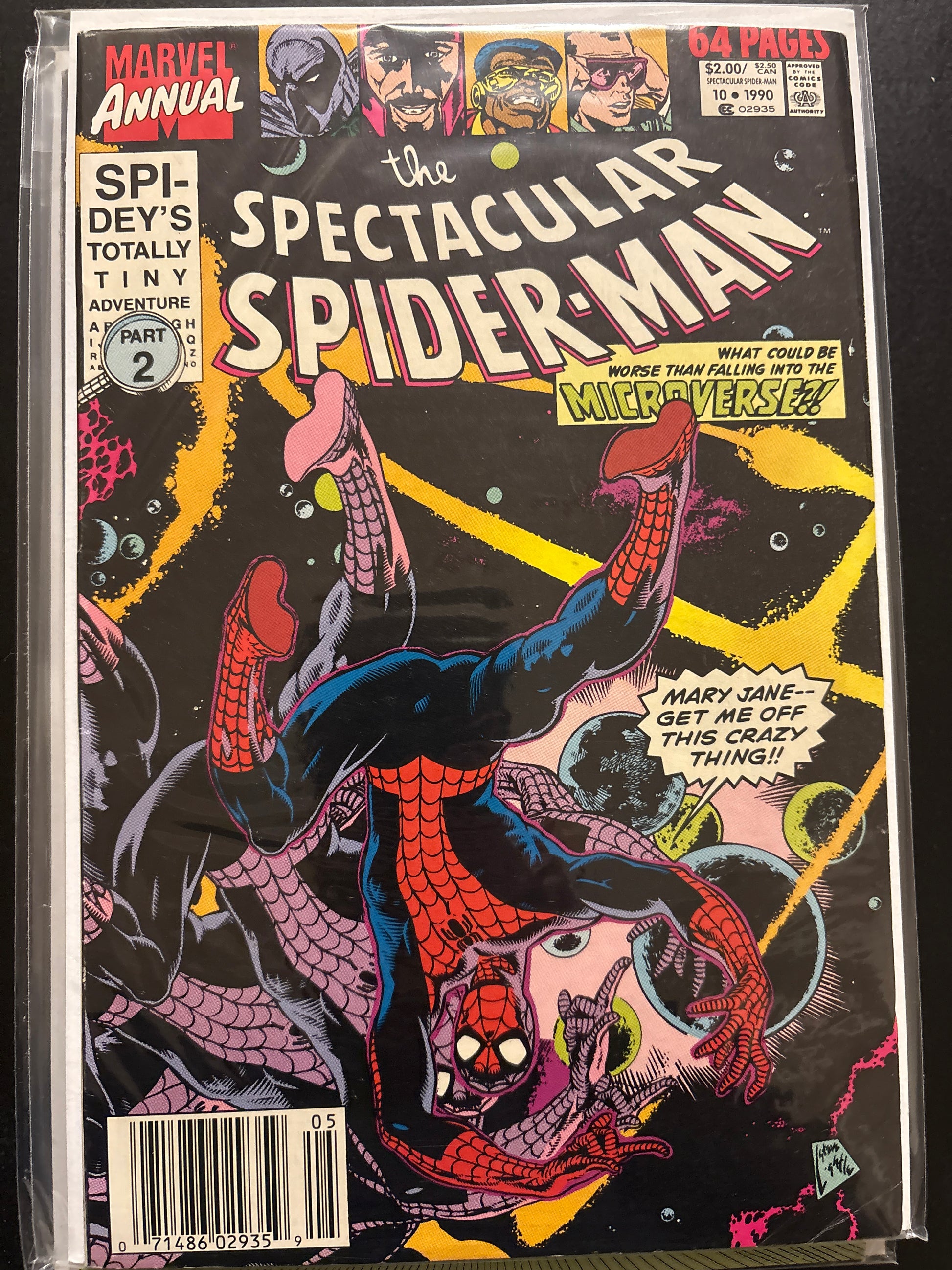 Peter Parker the Spectacular Spider-Man Annual 10 F