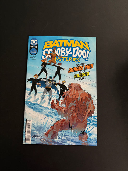 Batman/ scooby Doo 10
