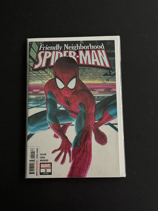 Peter Parker Spiderman 117