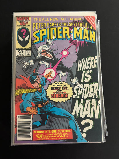 Friendly Neighborhood Spiderman 3