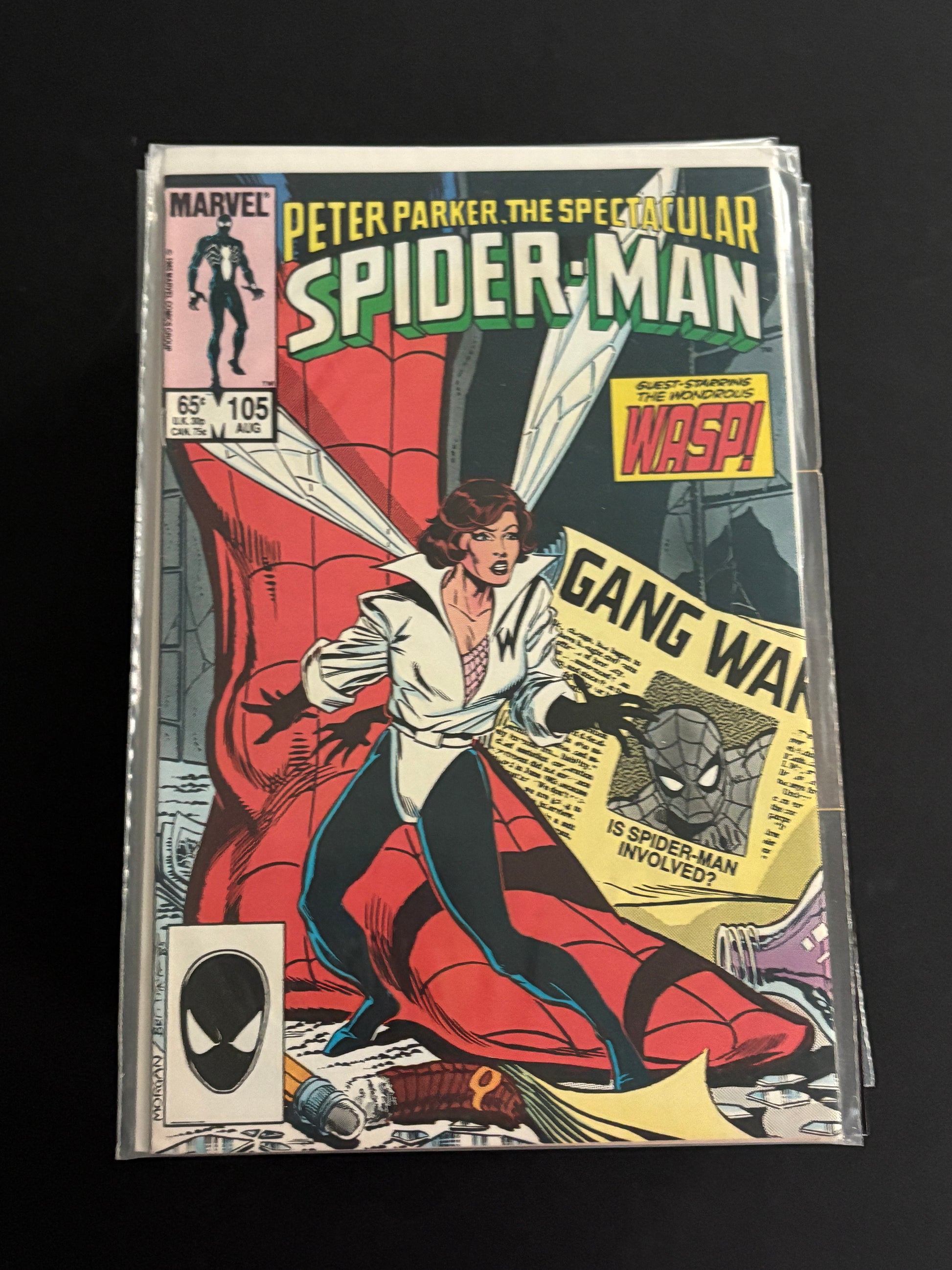 Friendly Neighborhood Spiderman 4