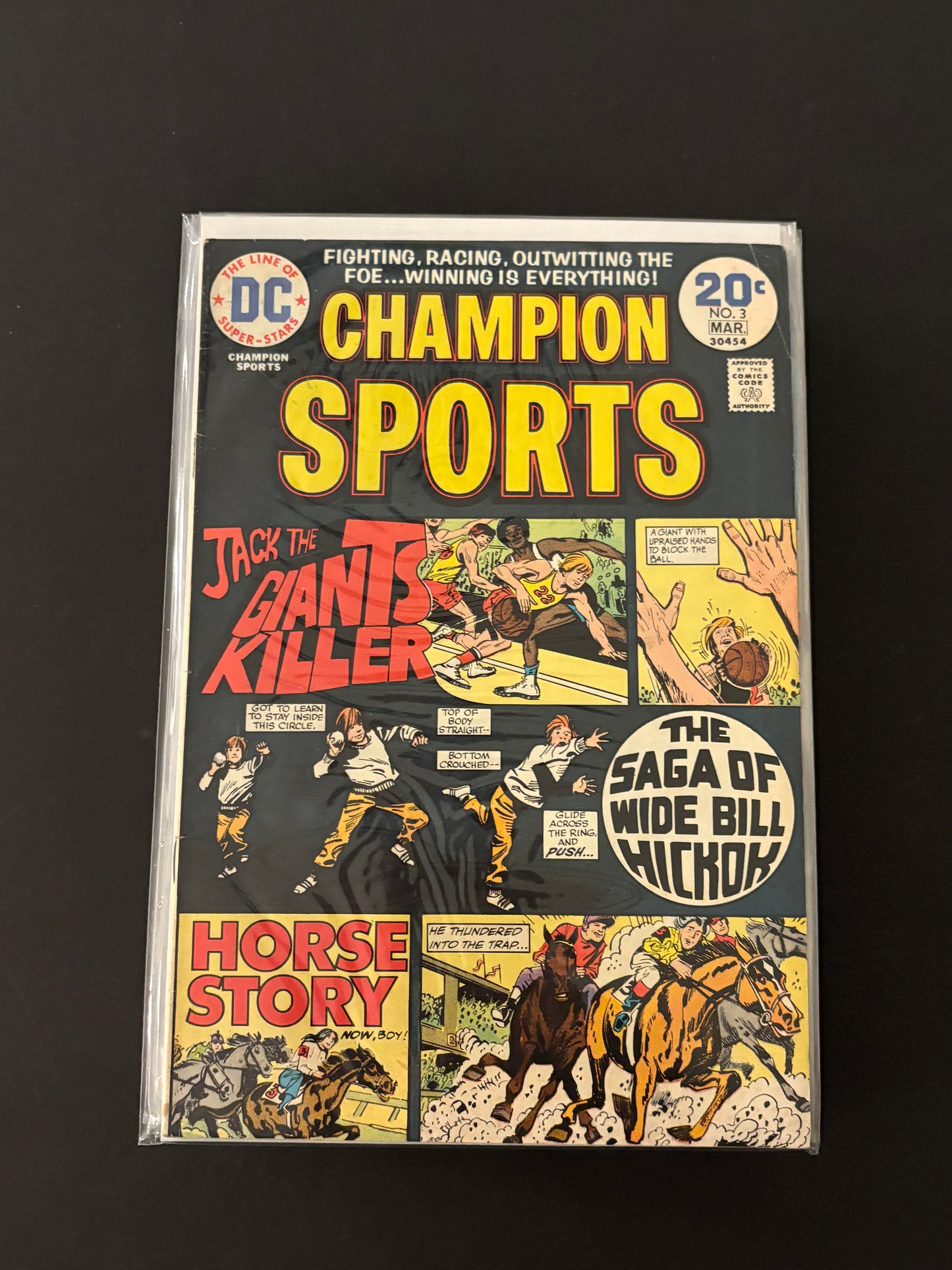 Champion Sports 3