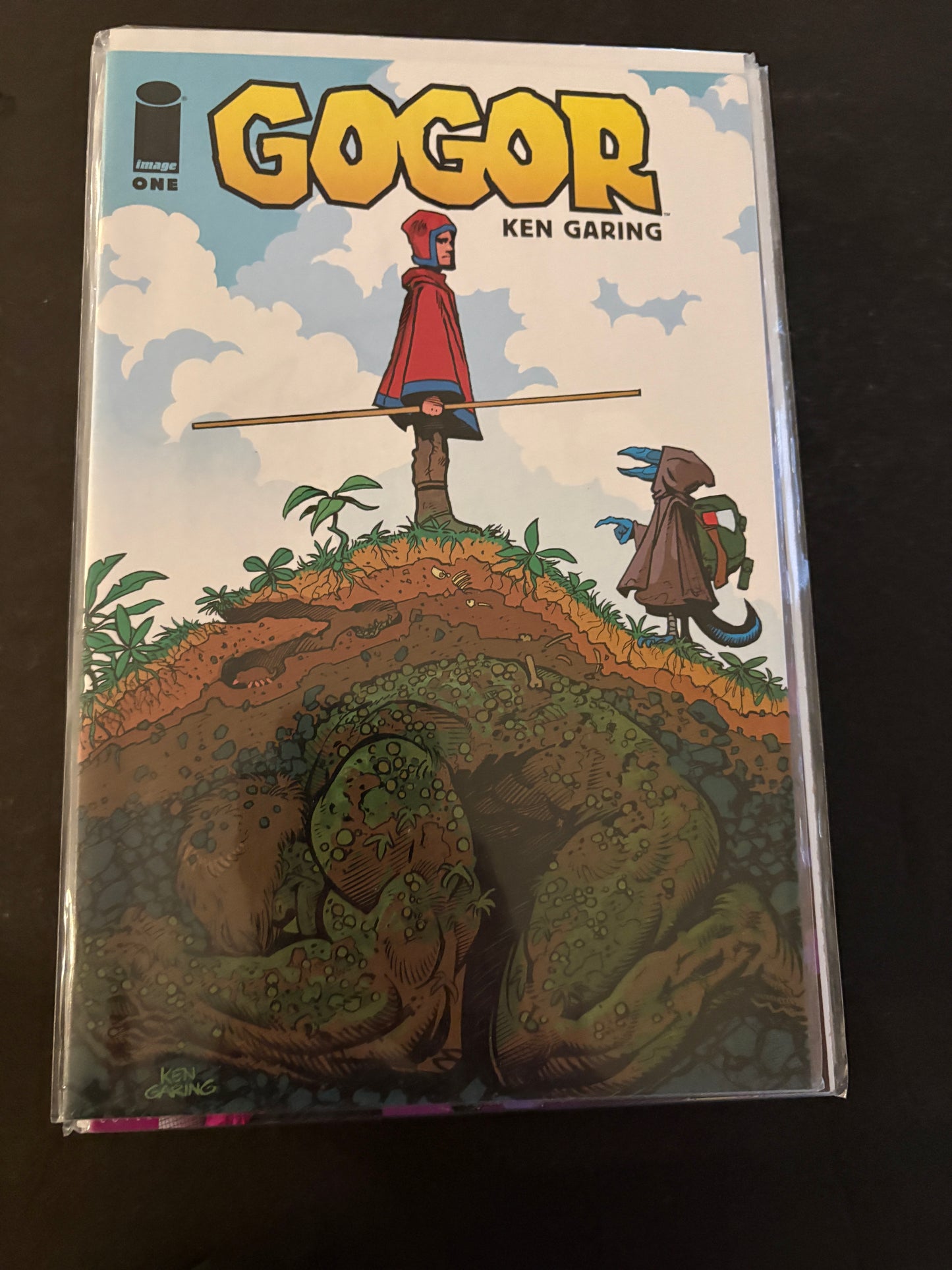 Gogor 1 NM