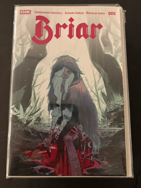 Briar 1 NM