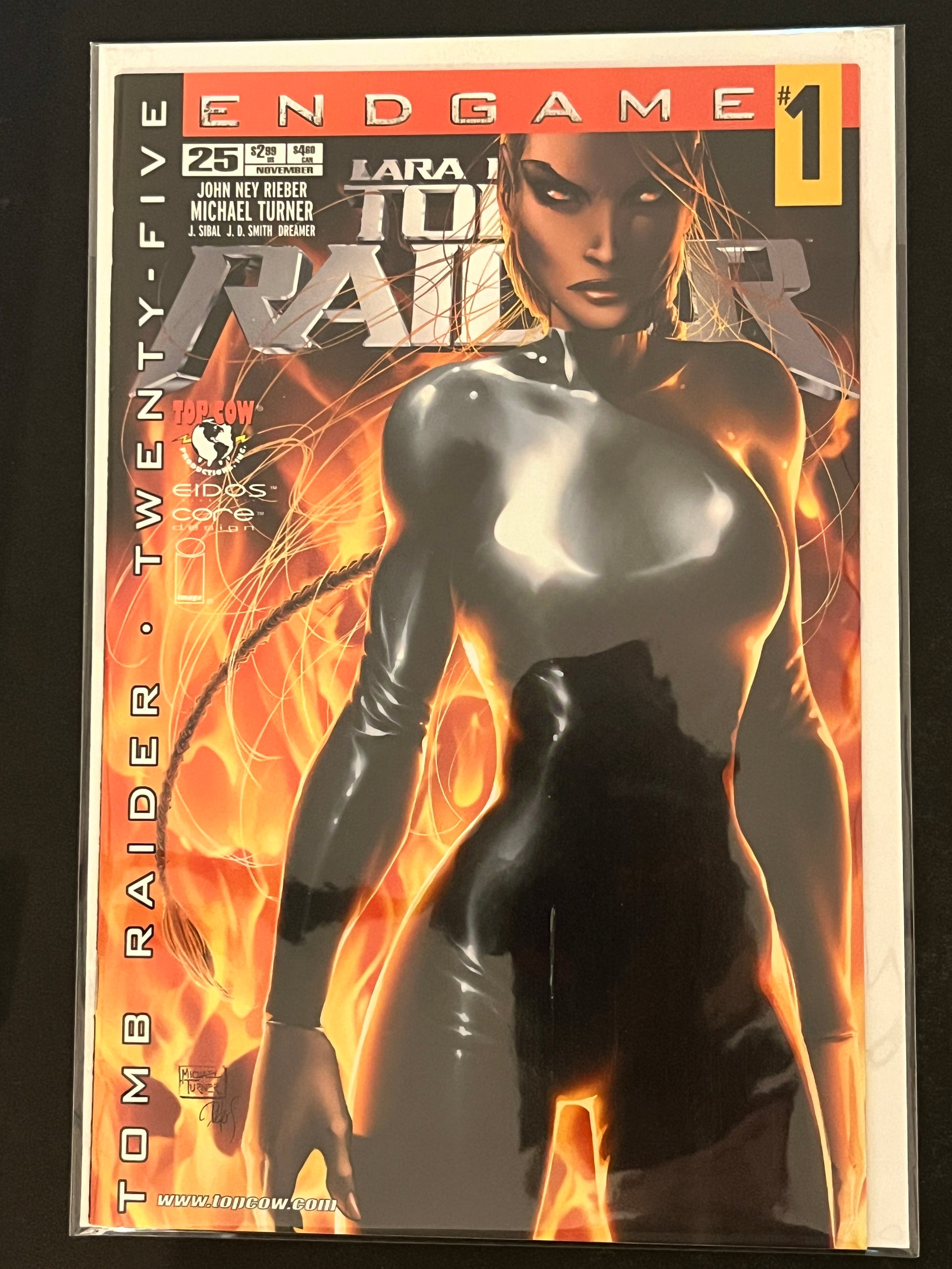 Tomb Raider 25 High Grade