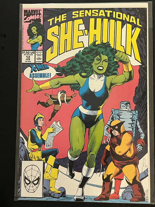 Sensational She-Hulk 12 High Grade