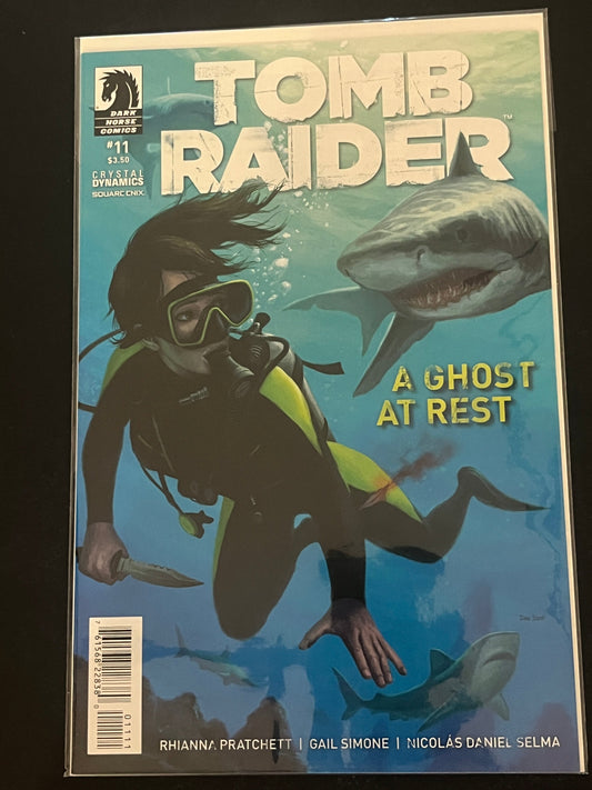 Tomb Raider 11 High grade