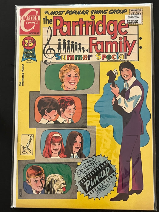 Partridge Family Summer Special 1 High Grade