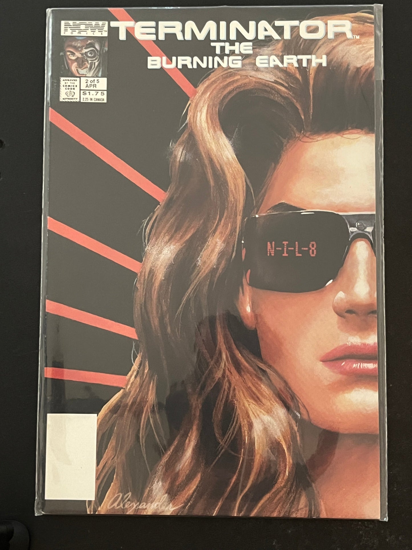 Terminator the Burning Earth 2 NM