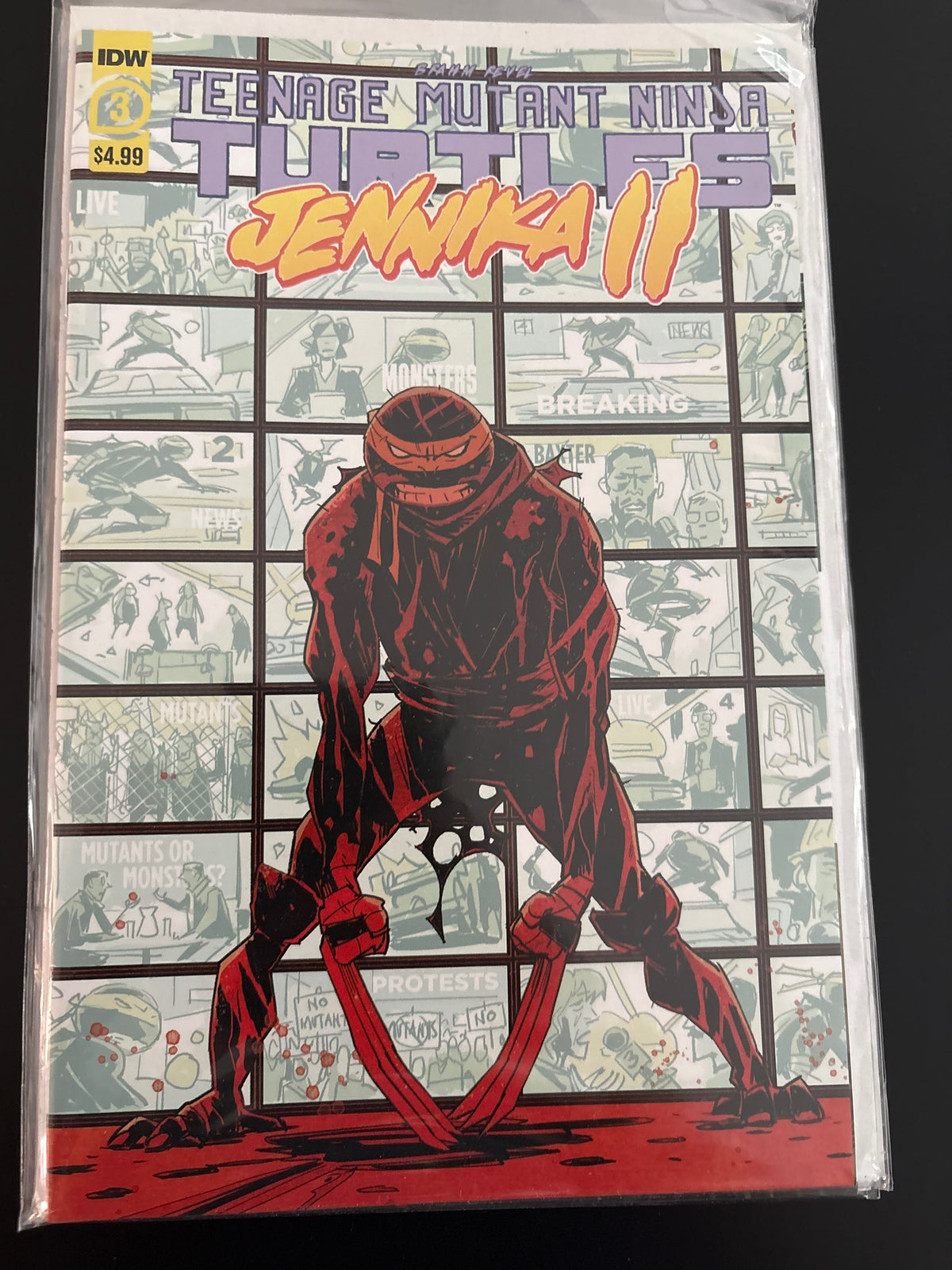 Teenage Mutant Ninja Turtles: Jennika II 3 NM